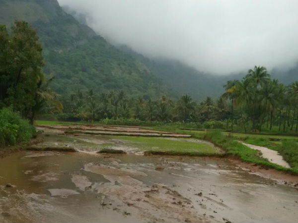 வேளாண் பாதிப்பு
