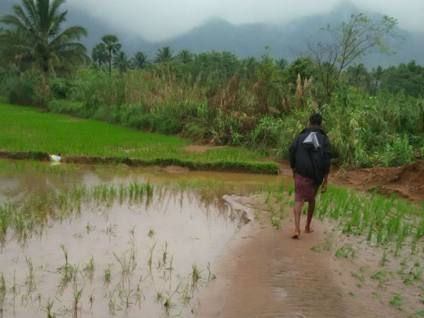 மண்வள சோதனை