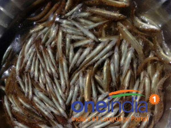 அயிரைக்கு வரவேற்பு