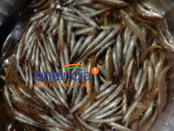 கல் உப்பு போட்டு