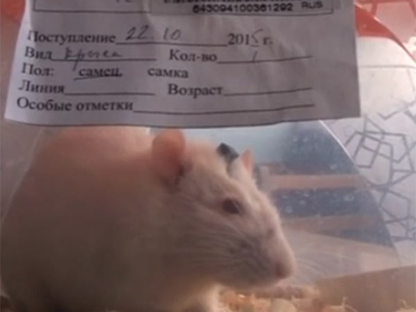 விஞ்ஞானிகளின் திட்டம்... விஞ்ஞானிகளின் திட்டம்...