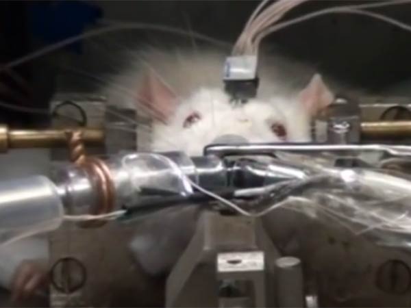 அளவில் சிறியவை... அளவில் சிறியவை...