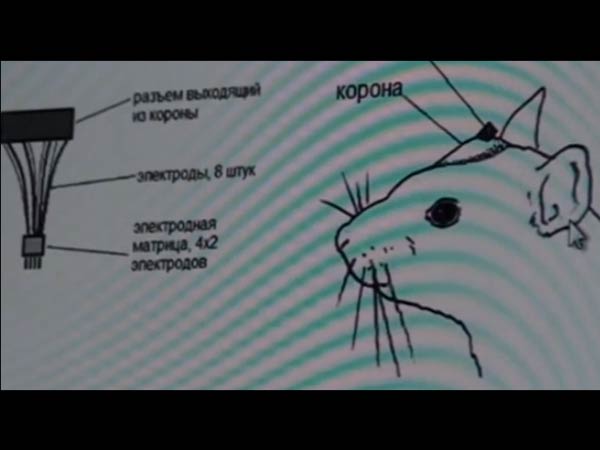 சிறப்புப் பயிற்சிகள்... சிறப்புப் பயிற்சிகள்...