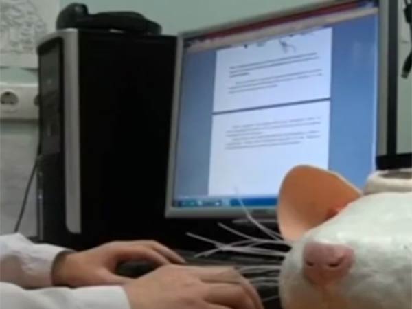 ஆயுட்காலம் குறைவு... ஆயுட்காலம் குறைவு...