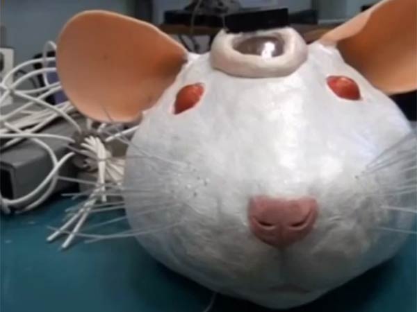 தொடர் ஆராய்ச்சி... தொடர் ஆராய்ச்சி...