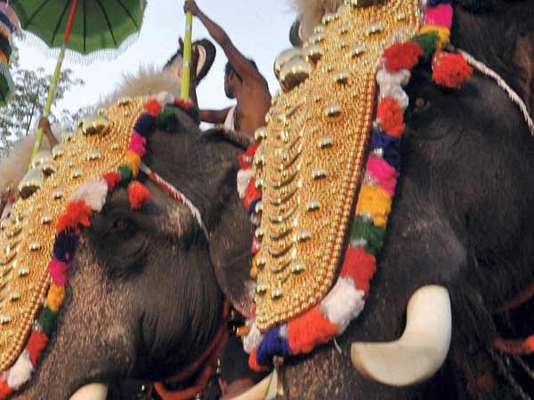 யானைகள் வருகை