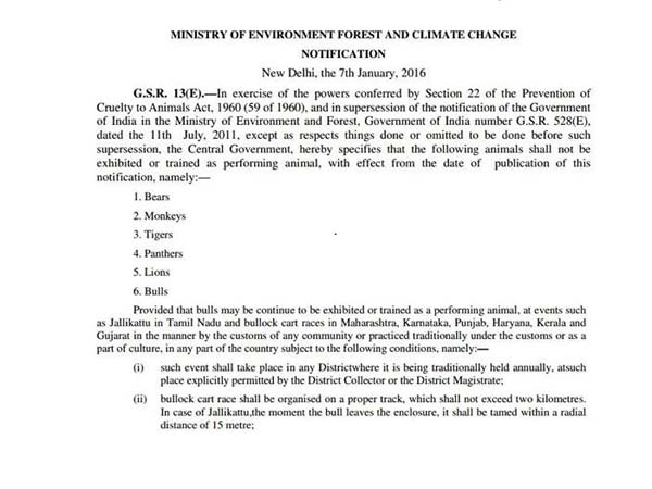 Centre Issues Notification Allowing Jallikattu in TN