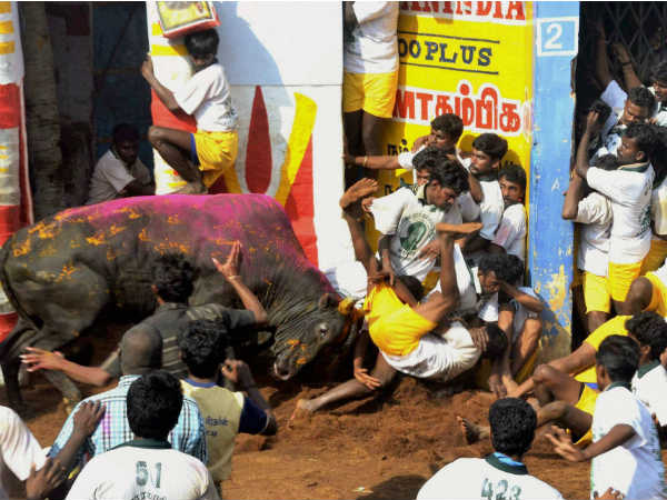 அடேங்கப்பா