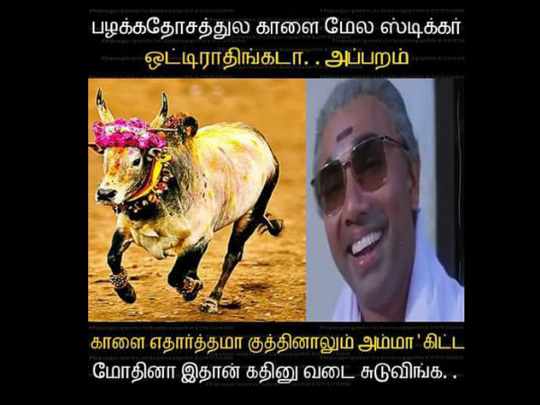 இதெப்படி இருக்கு!