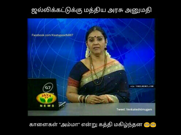 காளைகள் அம்மா என்று கத்தி மகிழ்ந்தன