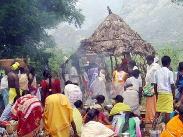 நன்றி காட்டும் நல்லநாள்