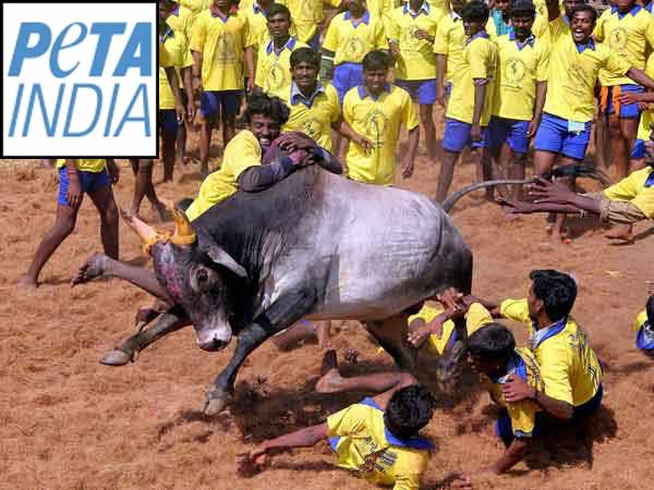 உயர்நீதிமன்றம் இடைக்கால தடை
