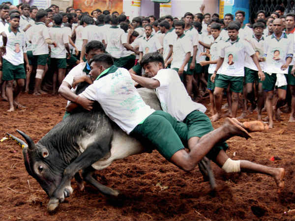 பாவ மூட்டை