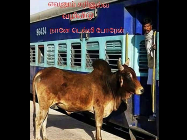 பேசாம நானே டெல்லி போறேன்