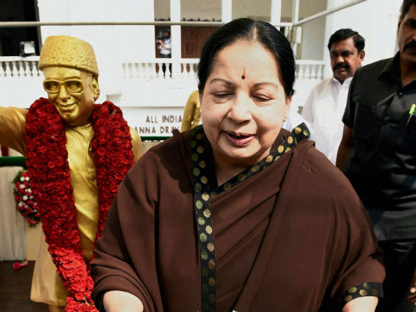 பிறந்தநாள் சிறப்பு மலர்...