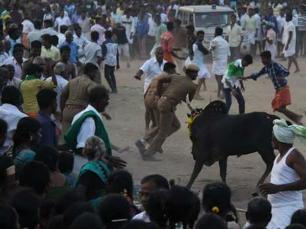 தடுக்க முடியாமல் தவித்த போலீஸ்