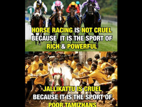 குதிரைக்கு அனுமதி... காளைக்குத் தடையா