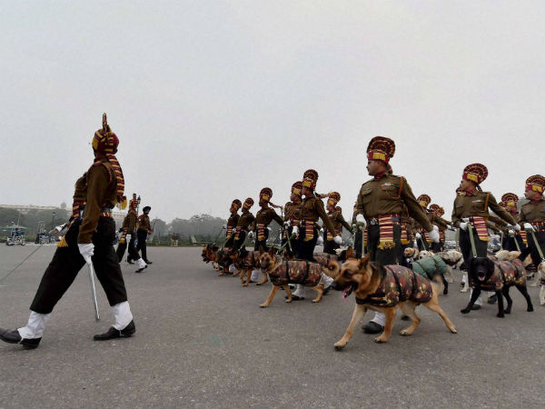 மோப்ப நாய்கள் அணிவகுப்பு...