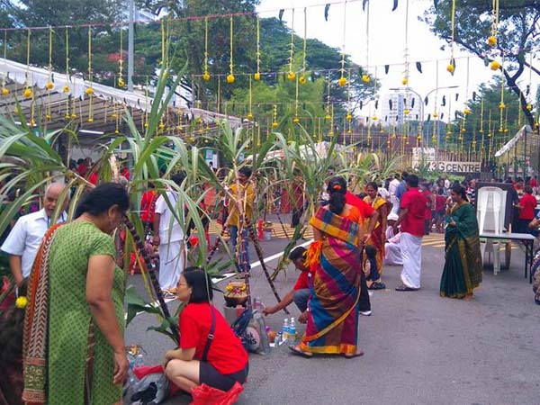 தித்திக்கும் சர்க்கரைப் பொங்கல்: