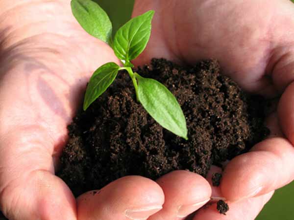 முறையான அறிவிப்பு: