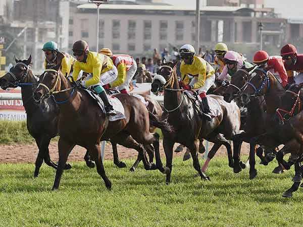 Horse race ban petition withdrawn Horse race ban petition withdrawn