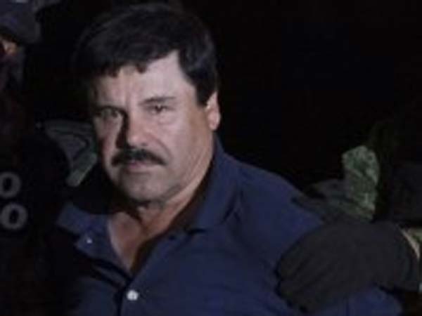 Dog Tastes Jail Food Of Mexican Drug Lord 'El Chapo' For Poison Dog Tastes Jail Food Of Mexican Drug Lord 'El Chapo' For Poison