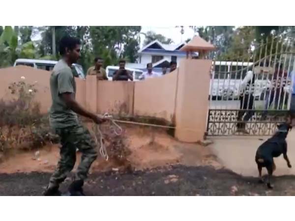 மோப்பநாய்...