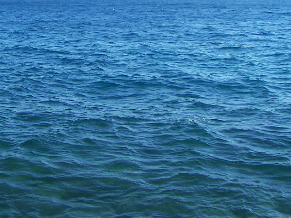 2050ல் இருமடங்கு: