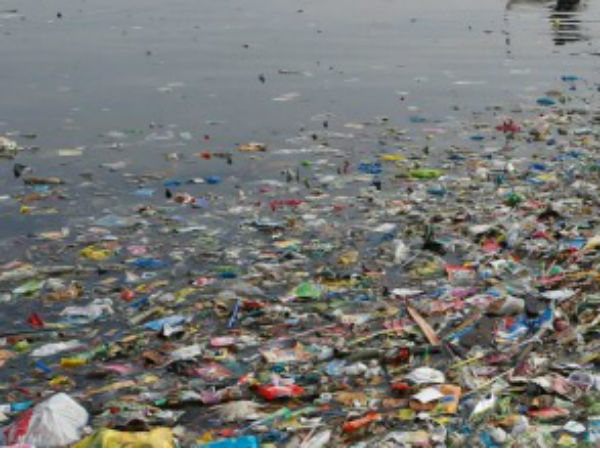 பிளாஸ்டிக் மட்டுமே: