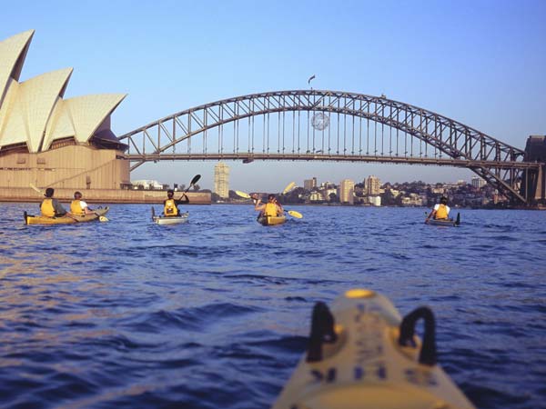 Australian deputy ambassador says about fake agents Australian deputy ambassador says about fake agents