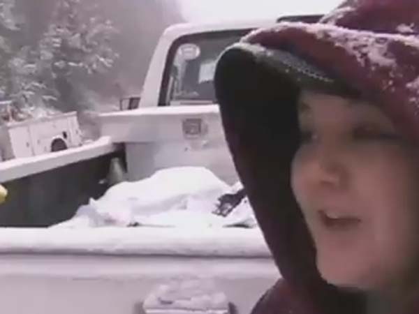 விமானங்கள் ரத்து: