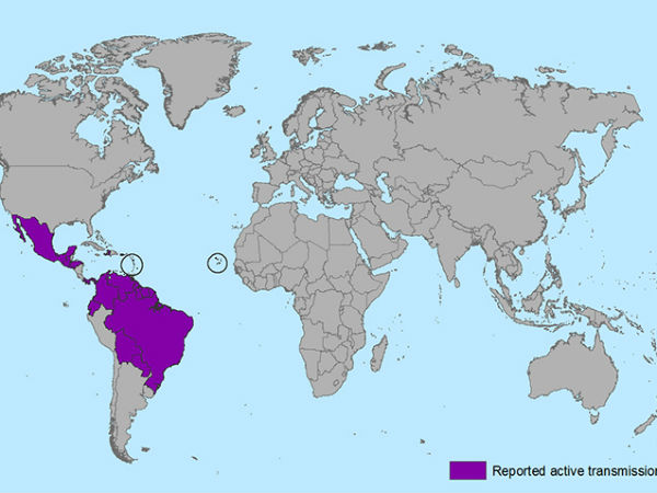 20 நாடுகளில் பாதிப்பு