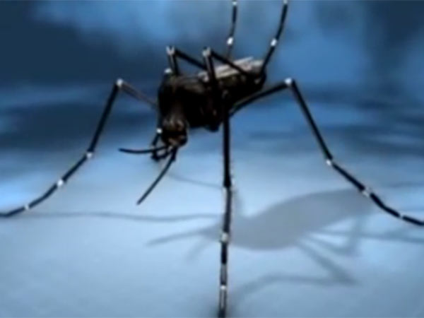 முதலில் சிகிச்சை