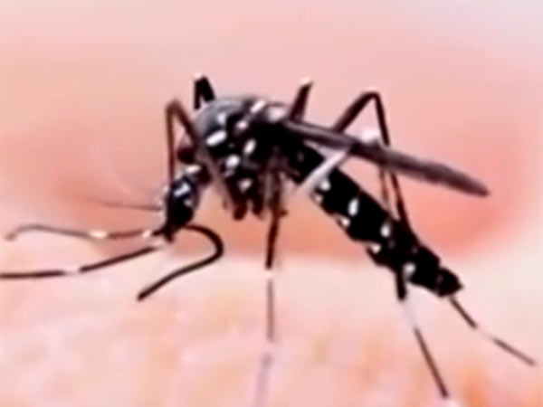 தடுப்பு முறைகள்