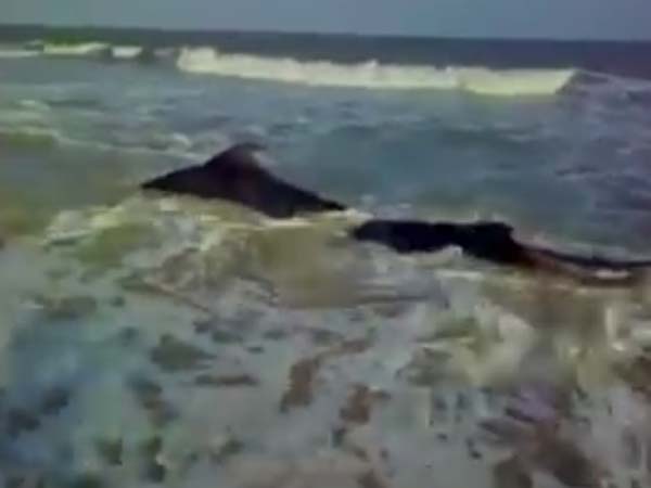 சமூக விரோதிகள்...