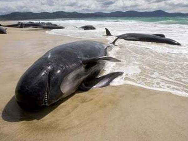 அதிர்ச்சி...