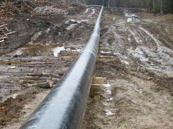 தேவையில்லாத வேலை தேவையில்லாத வேலை