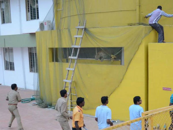 14 மணிநேர போராட்டம் 