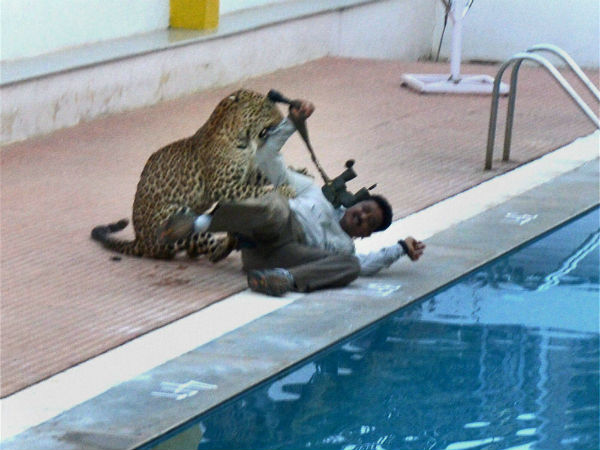 கேமராவுடன் மல்லுகட்டிய போட்டோகிராபர் 