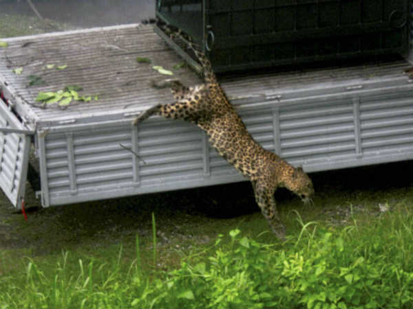 தேடுதல் வேட்டை 