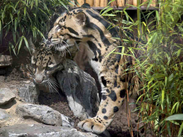 மக்கள் முடங்கினர் 