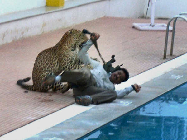 பள்ளிக்கு வந்த சிறுத்தை