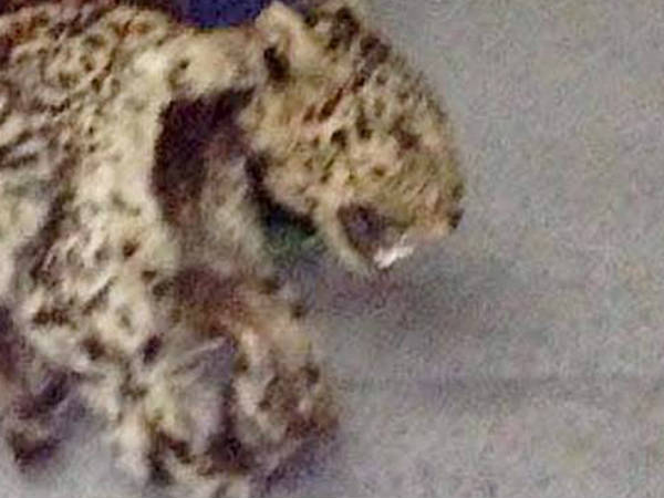 புதிது கிடையாது