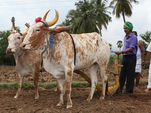 ஏர் பூட்டிய ஸ்டாலின்