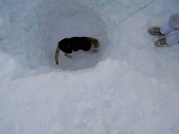 ரூ. 6, 566 கோடி