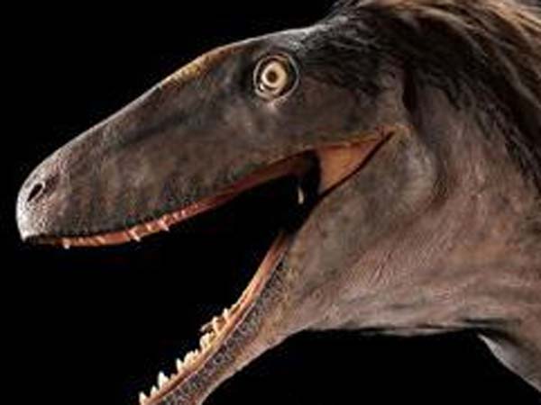 பைட்டும் கூட...