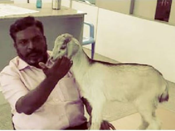 சிறுத்தை காப்பாற்றும்..