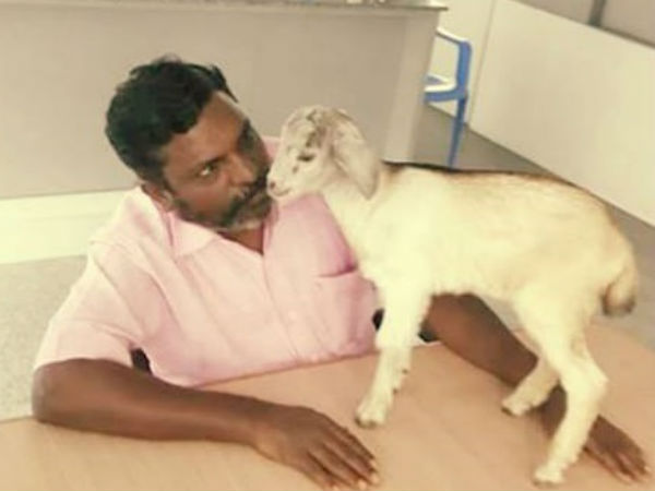 ரொம்ப படுத்திட்டாங்களோ..