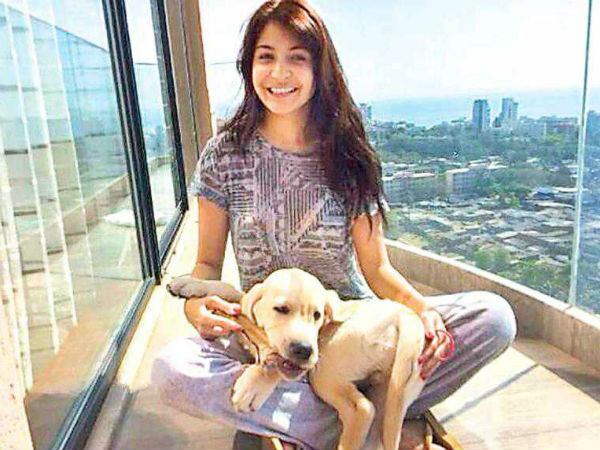 அனுஷ்கா