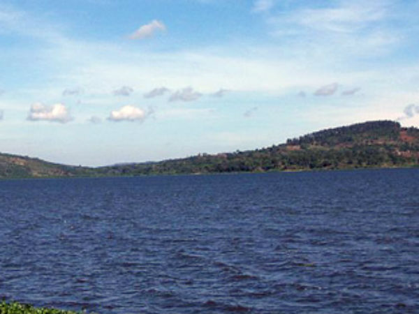 நோய்த்தொற்று அபாயம்... நோய்த்தொற்று அபாயம்...